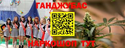 сатива Будённовск