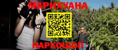 сатива Будённовск
