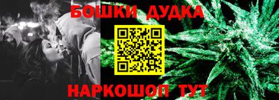 сатива Будённовск