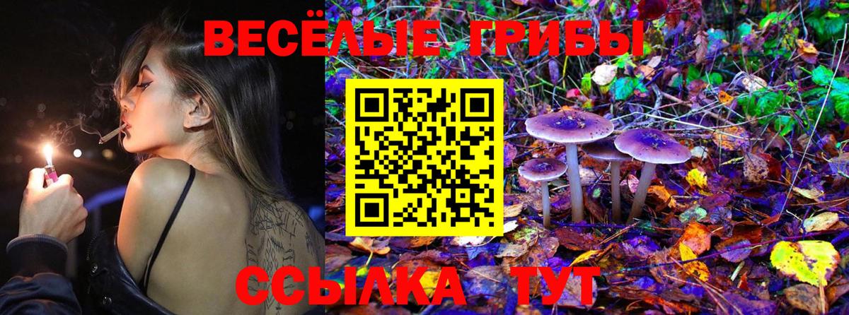 Симферополь  Галлюциногенные грибы MAGIC MUSHROOMS  закладка  Вход с VPN 